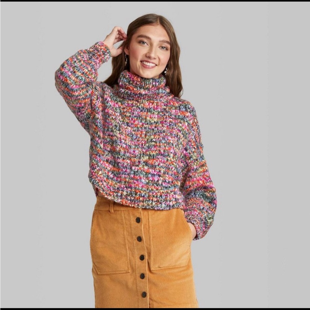 Wild Fable Multicolor Knit Sweater
